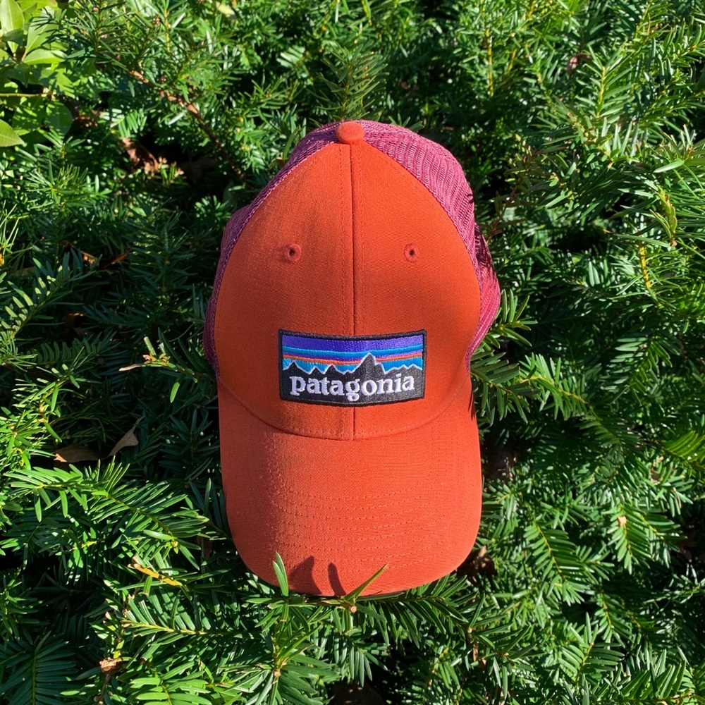 Patagonia Trucker Hat